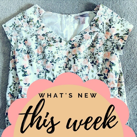 NEW AND UPDATED THIS WEEK! - Picture 2 of 3